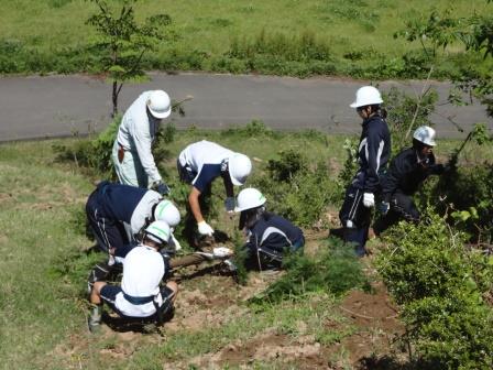 （写真）森林保護育成科にて枝切り