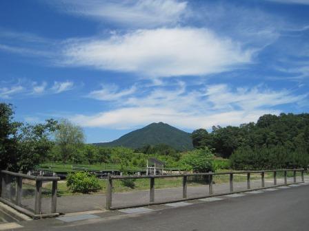 （写真）苗畑から見える琴引山