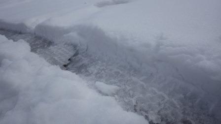 （写真）雪上のタイヤ痕