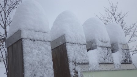 （写真）雪