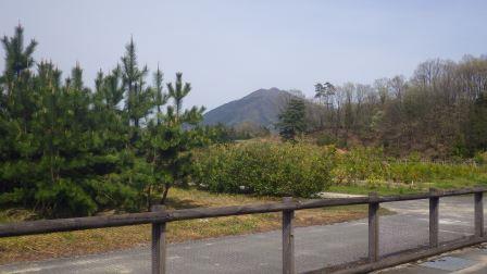 （写真）苗畑から見える琴引山