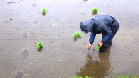 （写真）作業の様子３