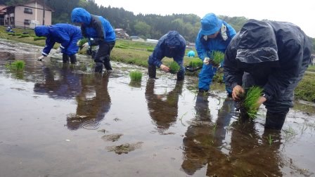 （写真）作業の様子２