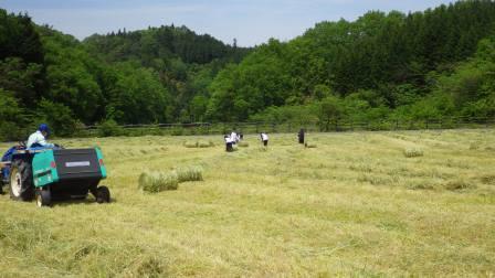 （写真）牧草地にて作業中の様子