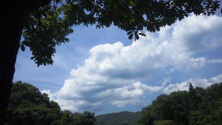 （写真）今日の空