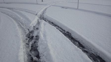 （写真）雪