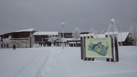 （写真）今朝のセンター