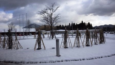 （写真）10時頃のセンターの様子２