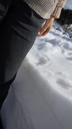 （写真）積雪は太股あたりまで