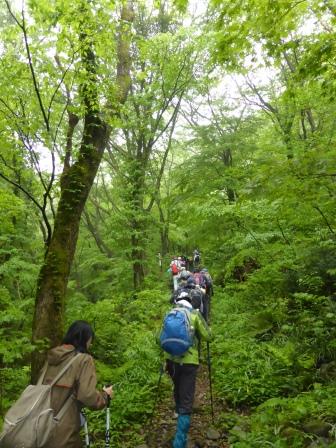 写真登山開始の模様