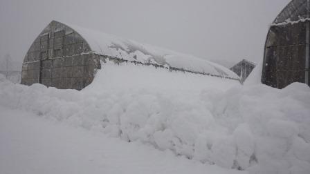雪に埋もれたハウスの写真
