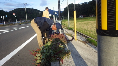 道路脇のひび割れから生える草を片付ける様子。鎌を使って取り除きました。