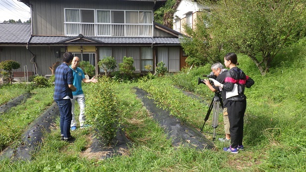 （写真）試験植栽地