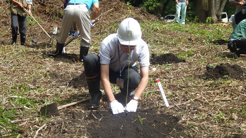 ヤマグワ植樹の様子