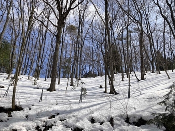 雪景色