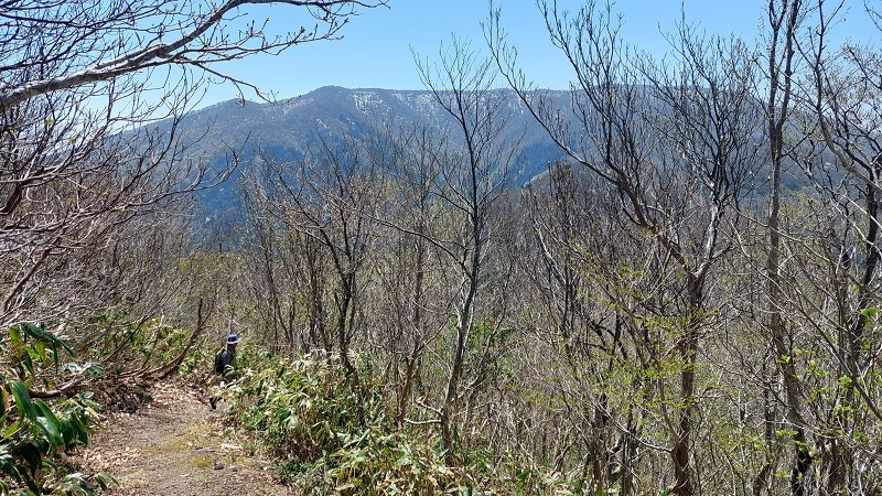 展望台からつづら折を下る画像