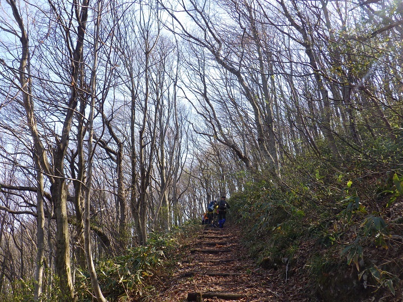毛無山縦走路の画像