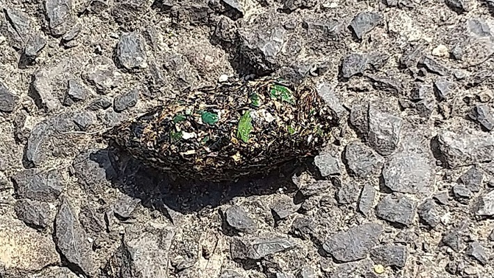 ペリットの写真画像１