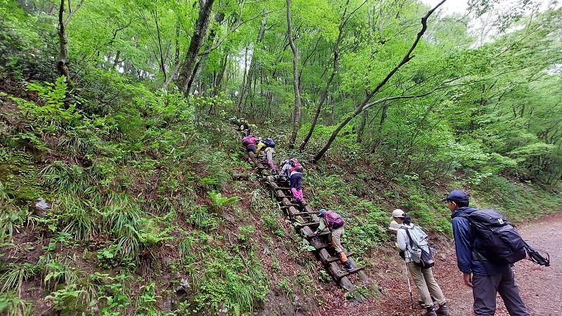 木製はしごを登る画像