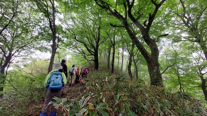 ガスの中の縦走路を歩く画像