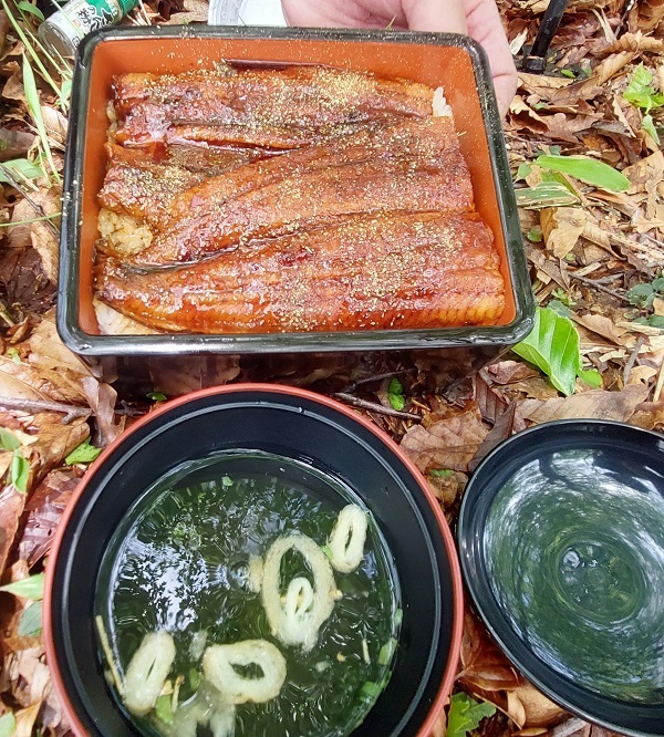 倒木処理でリュックがひっくり返りながらも無事だったうな重弁当の画像