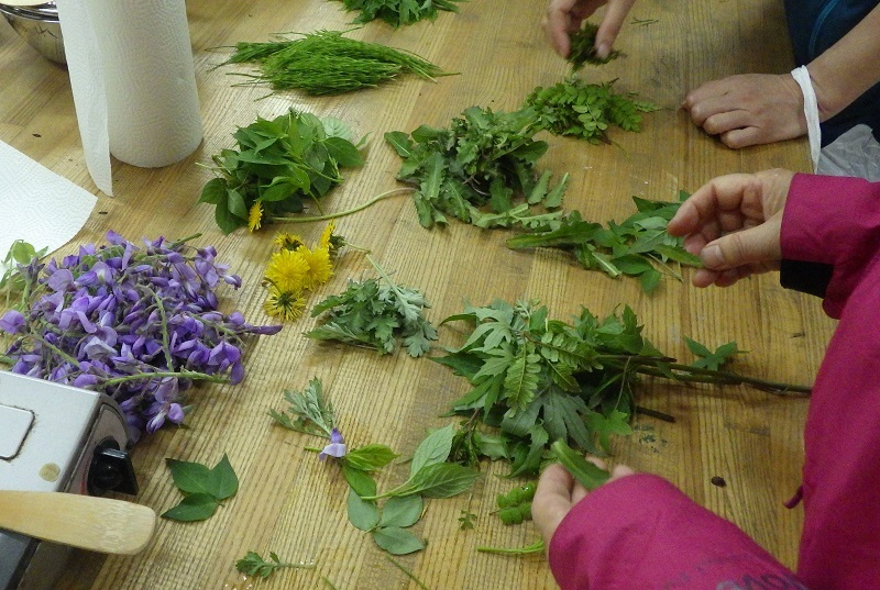 採取した食材を種類ごとに分ける画像