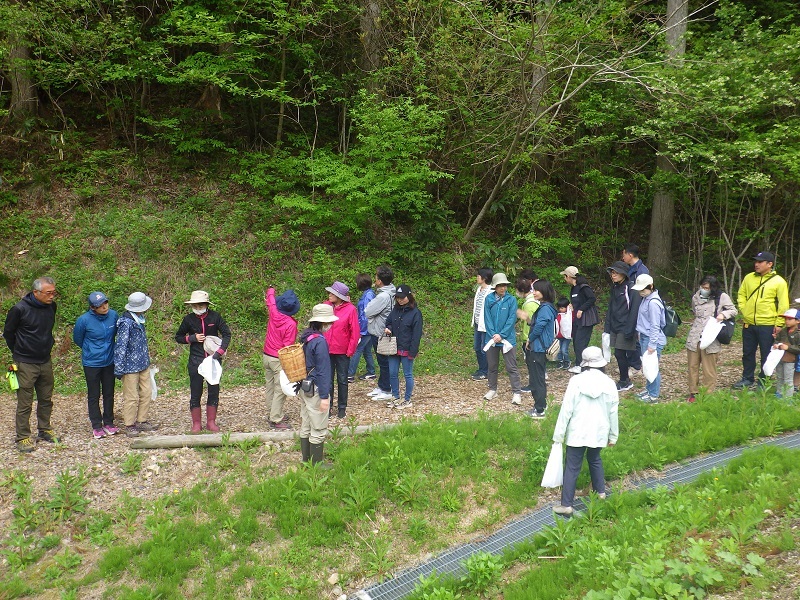 食材探しの散策に出かける画像