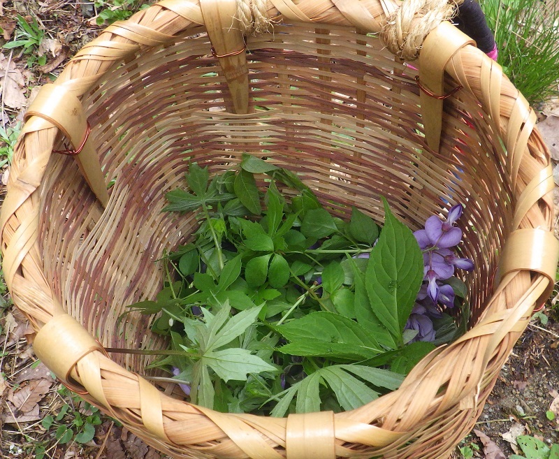 食材を集めた画像