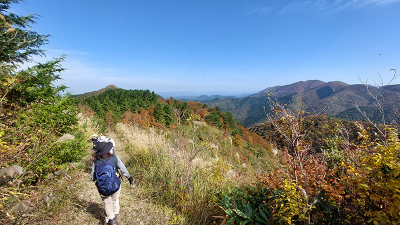 前方に等検境がみえる下りの画像