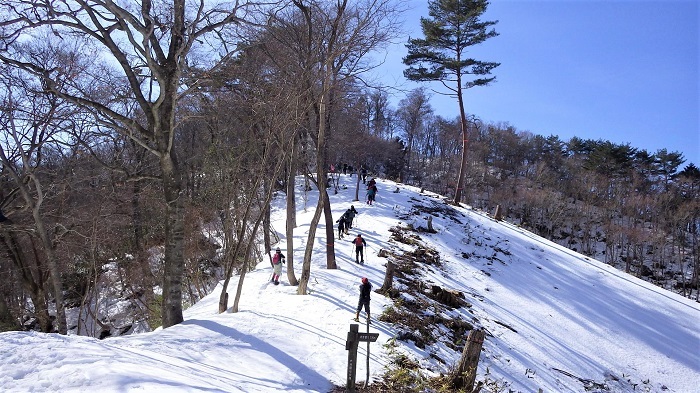 木地屋支線ルートの画像