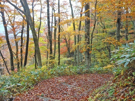 木地屋谷ルートの紅葉の画像