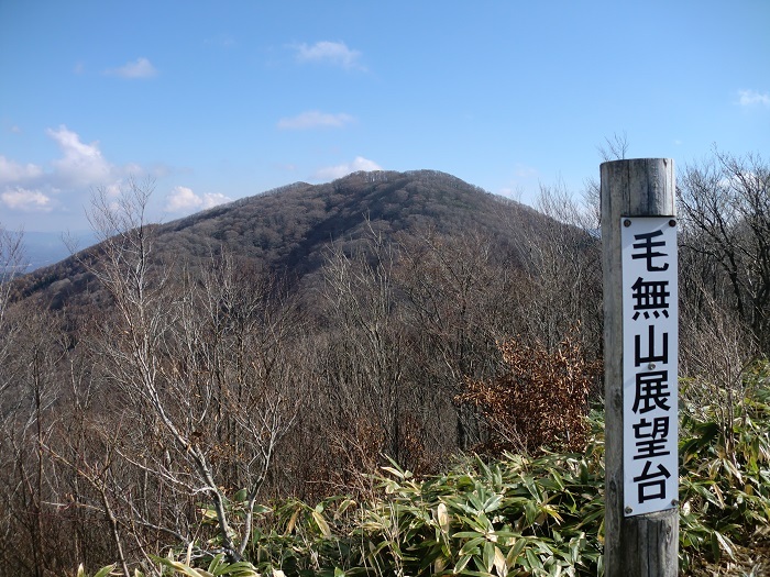 展望台から望む毛無山の画像