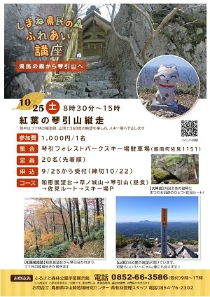 紅葉の琴引縦横チラシ画像