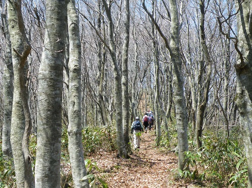 和恵縦走路の画像