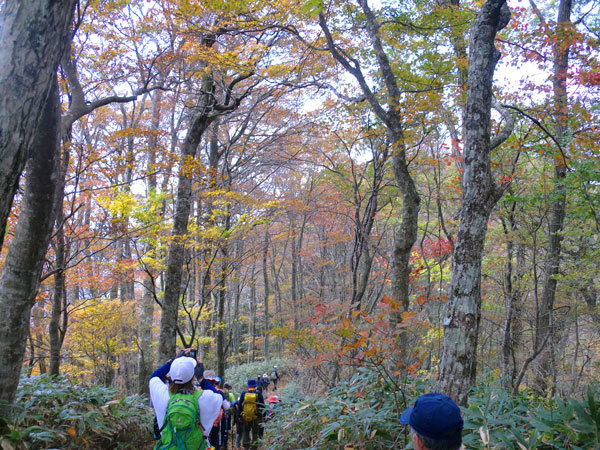 休憩ポイントの紅葉