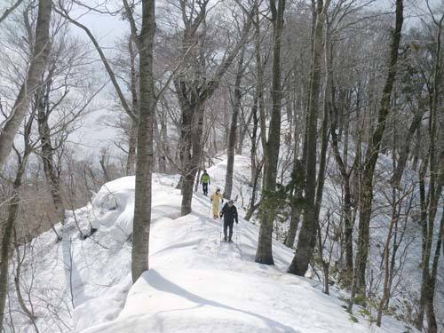 指谷山へ県境の稜線歩きの画像