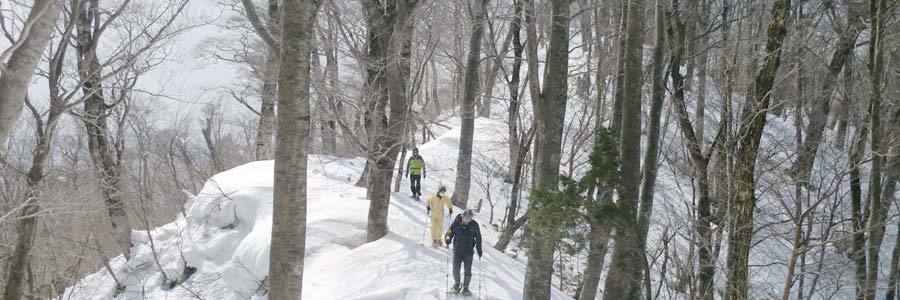 スノーシューで残雪歩きの画像