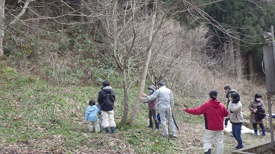 冬芽の観察の様子