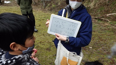 芝生のトンネルを作った犯人クイズの様子