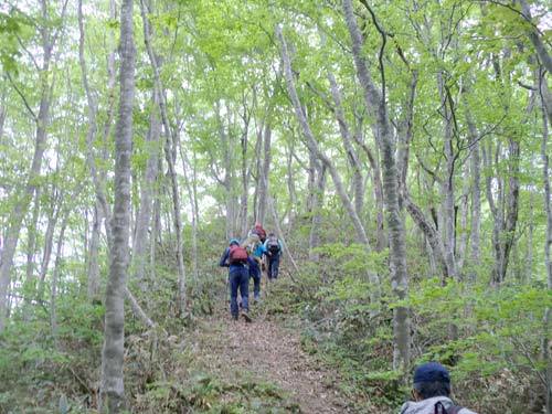 指谷山縦走路の画像