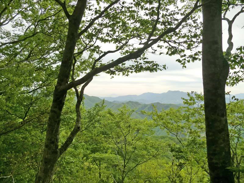 縦走路から大山のシルエットの画像