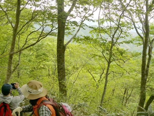 大山を撮影される皆さんの様子