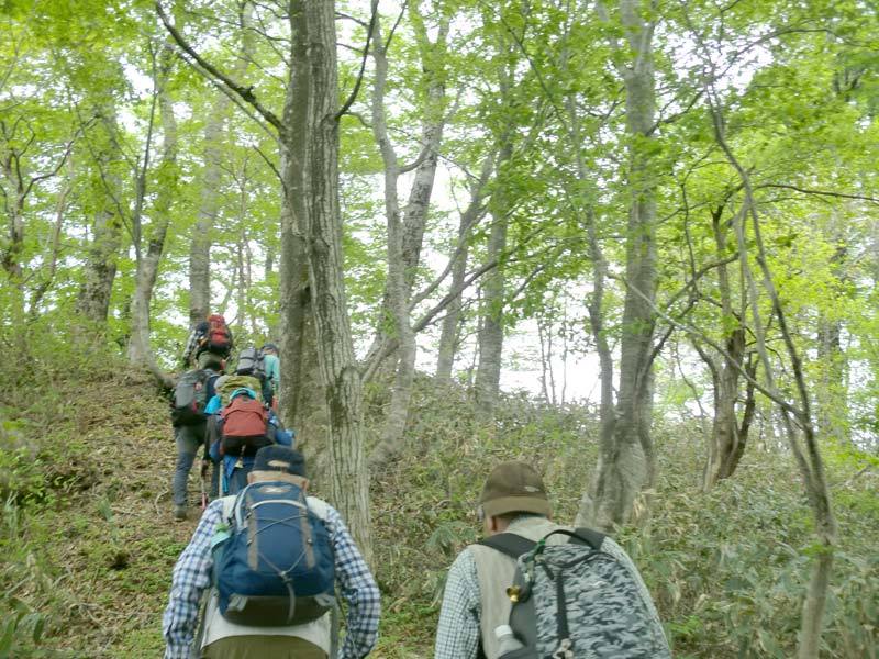 指谷山頂前の登りの画像