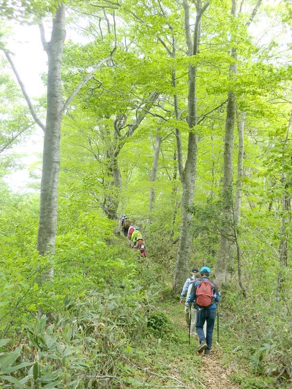 指谷山から木地屋谷展望台までの画像