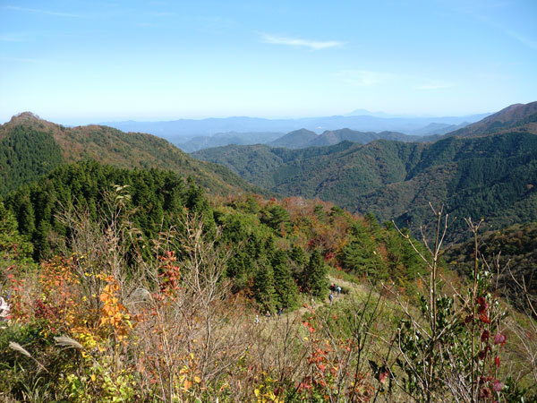 登山道からの眺め、前方に等検境と大山の画像