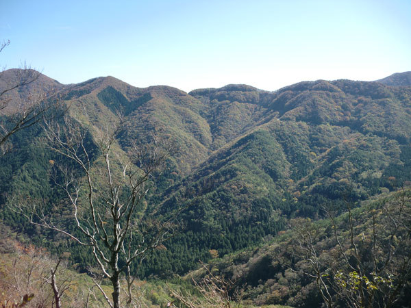 等検境山頂から正面に毛無山縦走路稜線の画像