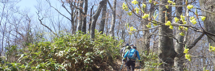 4月20日開催琴引山縦走の様子