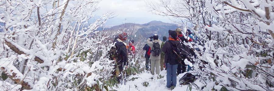 11月25日大万木山登山の画像