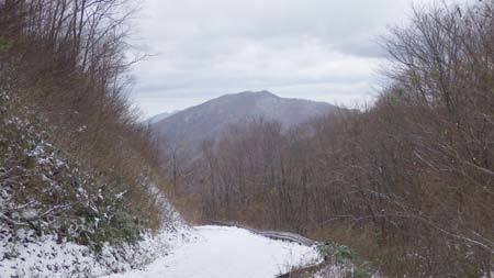 林道からみた沖の郷山の画像