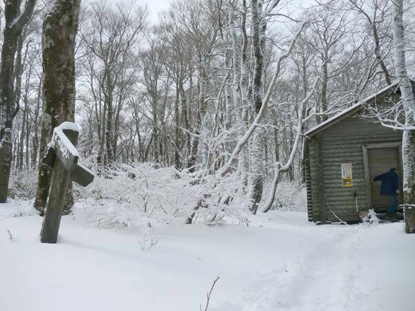 避難小屋付近の様子